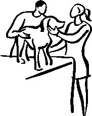Laguna Hills Animal Hospital