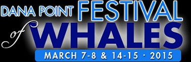 Pet Festival