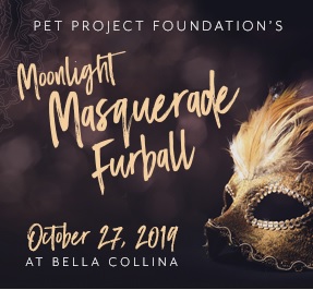 Moonlit Masquerade