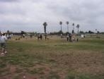 Orange Dog Park