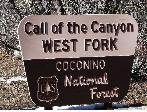 Sedona National Forest
