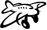 Pet Air Travel