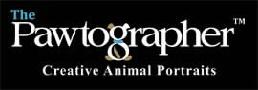 The Pawtographer