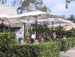 Zinc Café - Dog Friendly Outdoor Patio